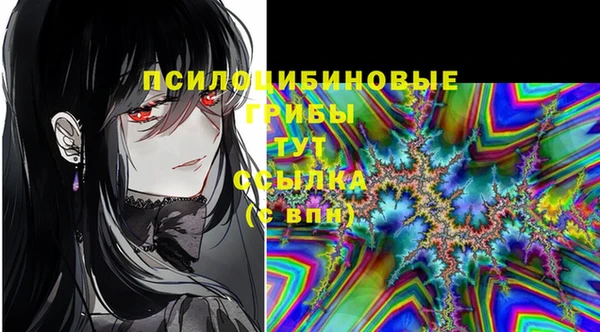 дживик Абаза
