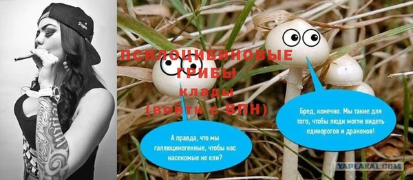 бошки Абинск