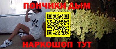 амф Сланцы