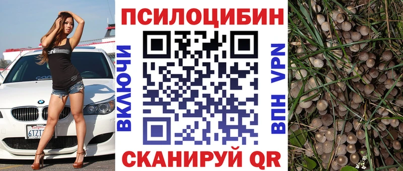 Галлюциногенные грибы мицелий  закладки  Татарск 