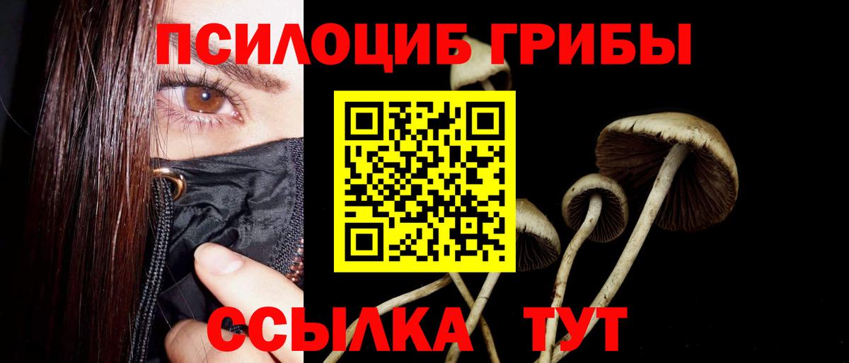 Псилоцибиновые грибы GOLDEN TEACHER  Галлюциногенные грибы ЛСД  Вход с VPN  Татарск 
